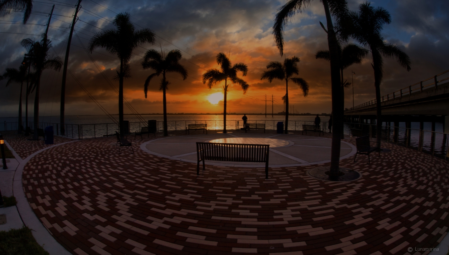 Port-Charlotte-Park-Charlotte-County-FL-Sunset-Through-The-Palm-Trees